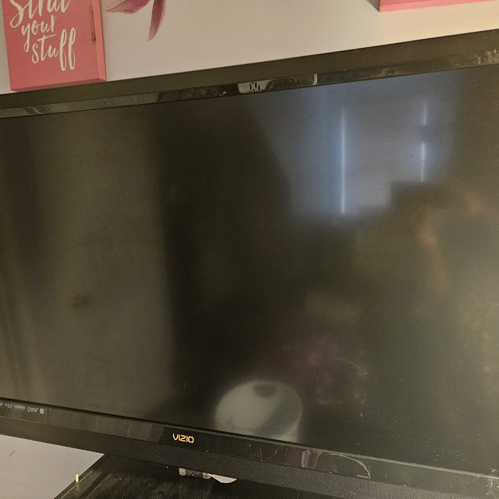 50" Vizio Flat Screen